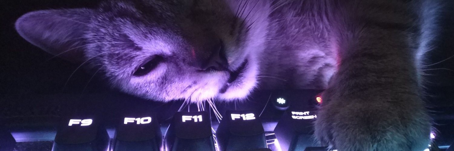 KicchanPyon's profile banner image