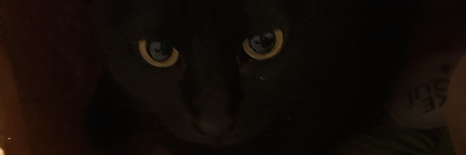 christellepp's profile banner image