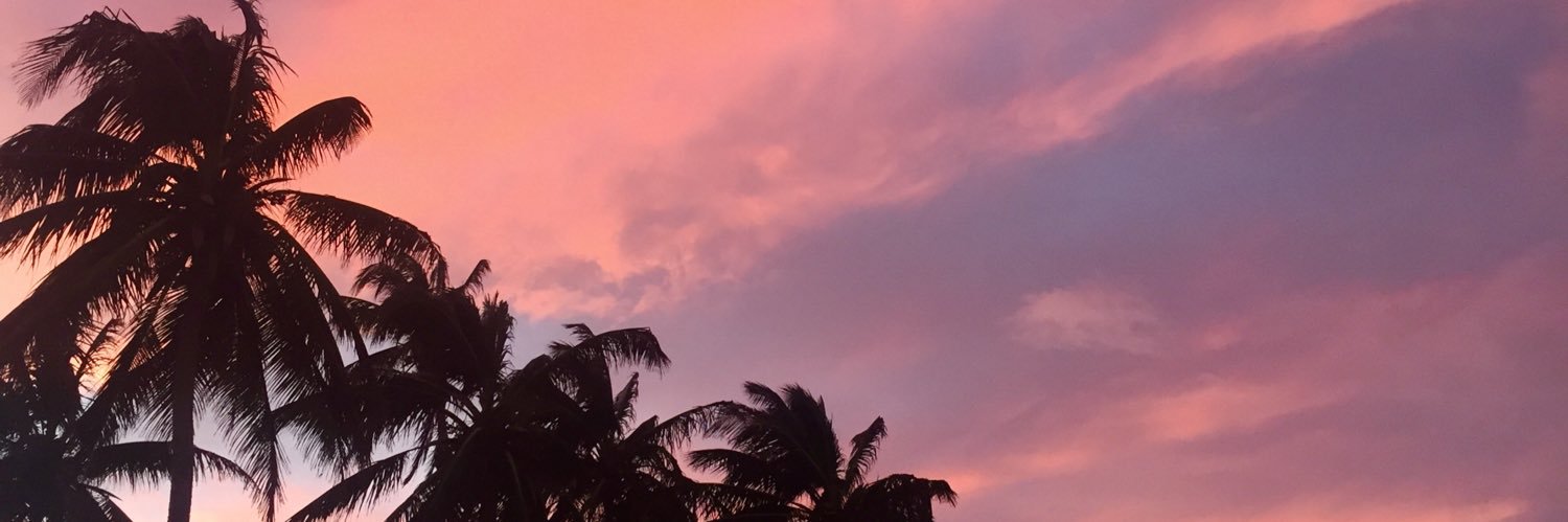 florferreri's profile banner image