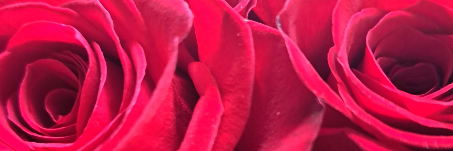 locgoddess16's profile banner image