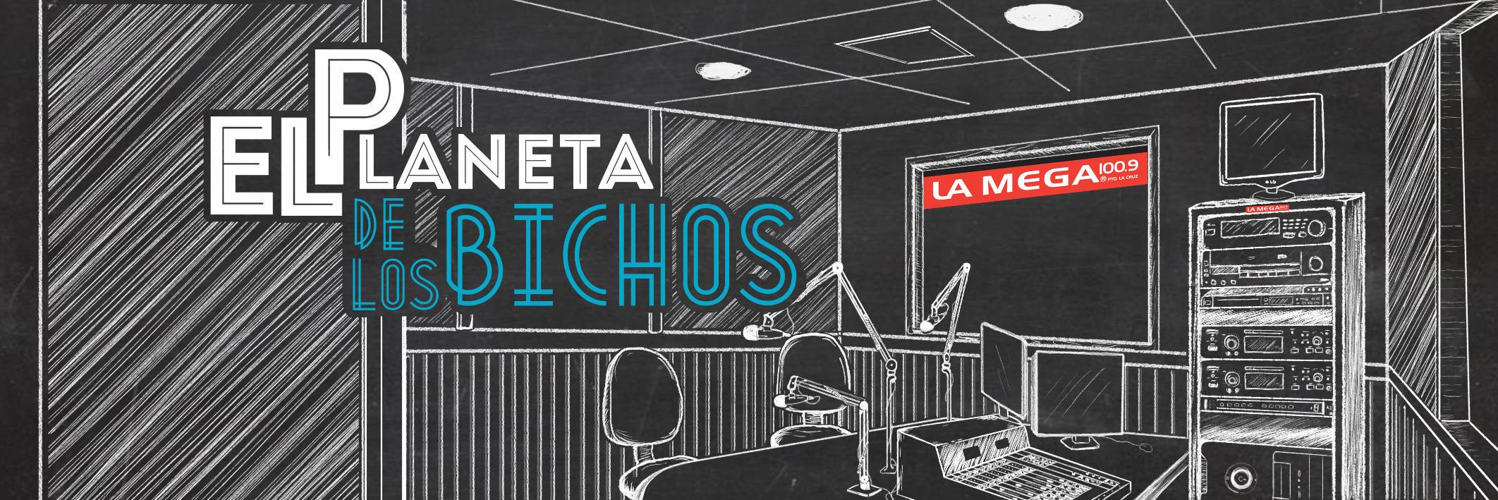 planetadebichos's profile banner image