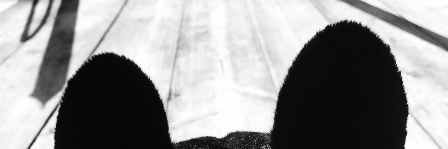 brinkerh's profile banner image