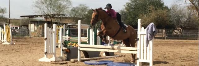 PaigeShowerman's profile banner image