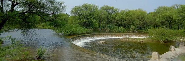 RebariHarjee's profile banner image