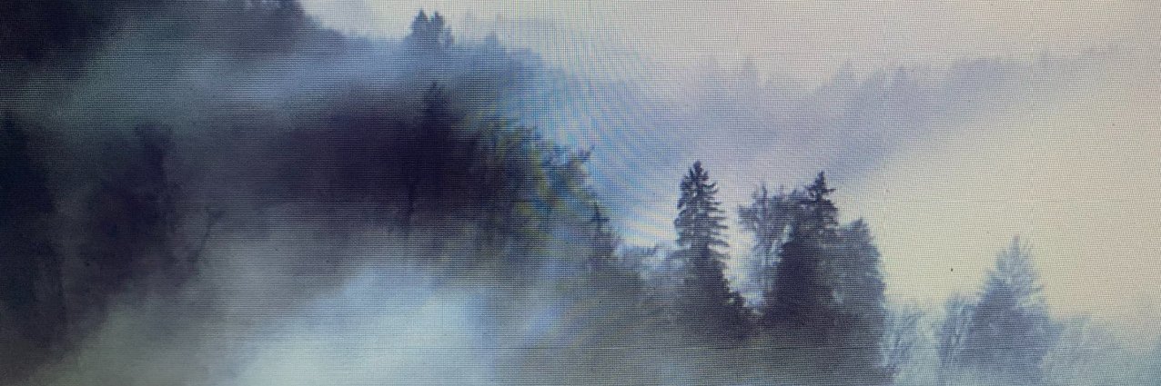 _joemoy's profile banner image