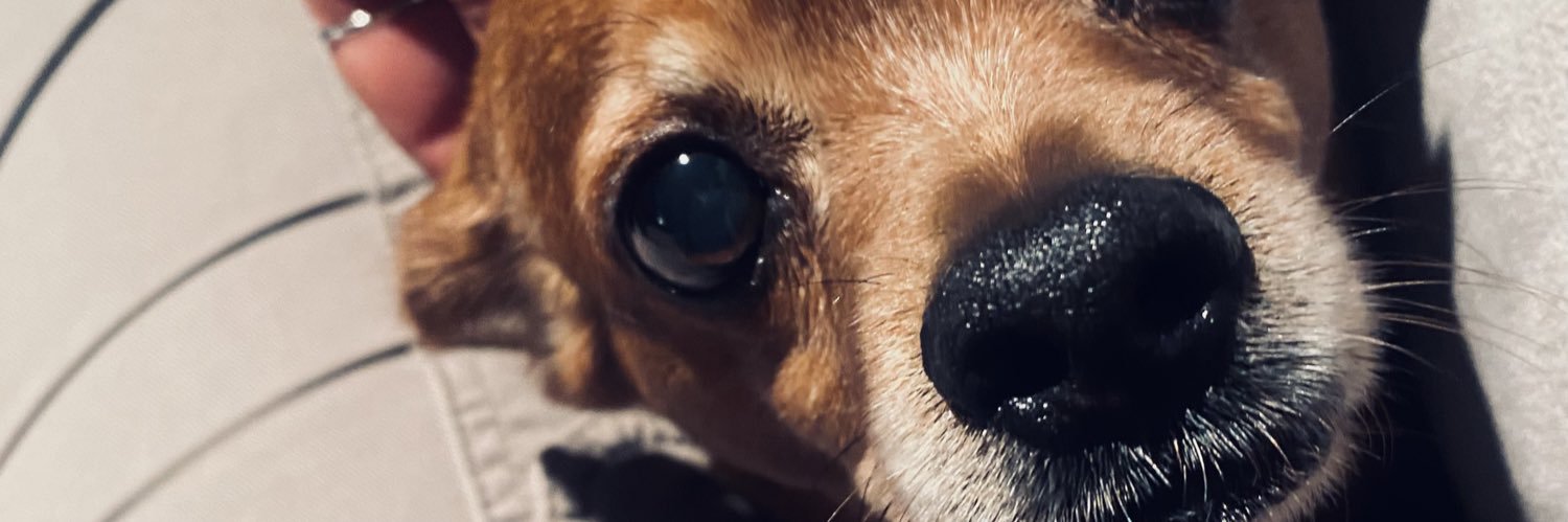 PatryRs13's profile banner image