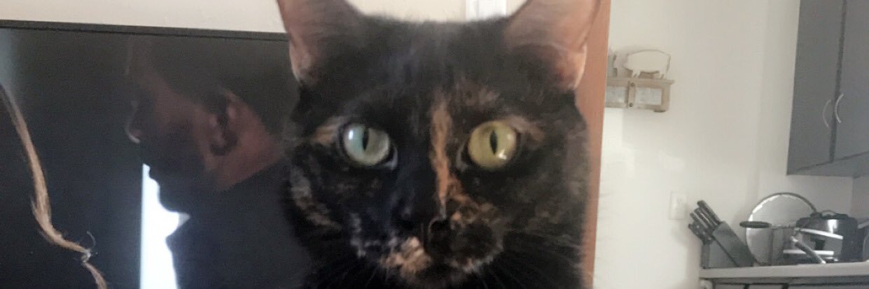EmilyPowers35's profile banner image