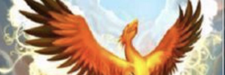Rae_Marechal's profile banner image