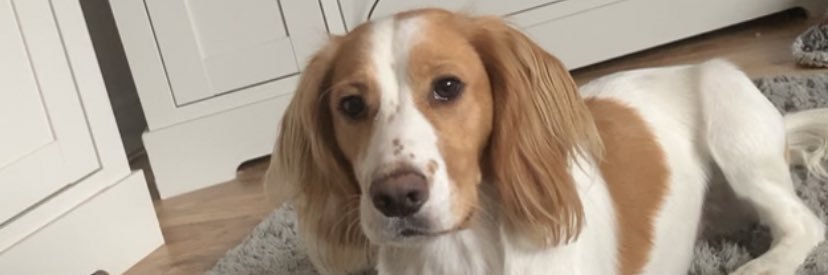Nath_Read's profile banner image