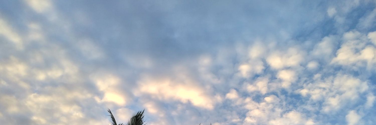 deeNinaaa's profile banner image