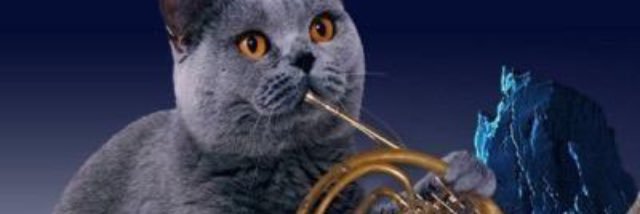 TheMinneyCat's profile banner image