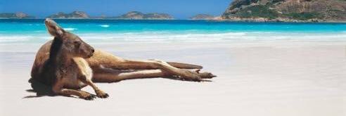 Rooey68's profile banner image