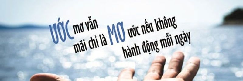 pth_hieu's profile banner image