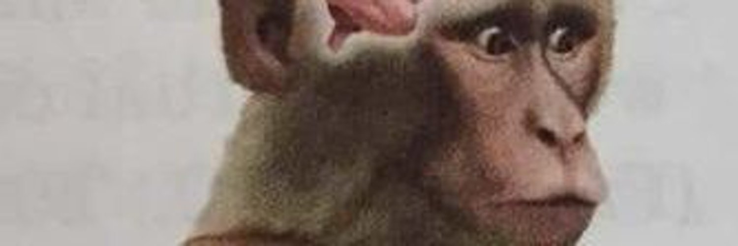 _MolFoz's profile banner image