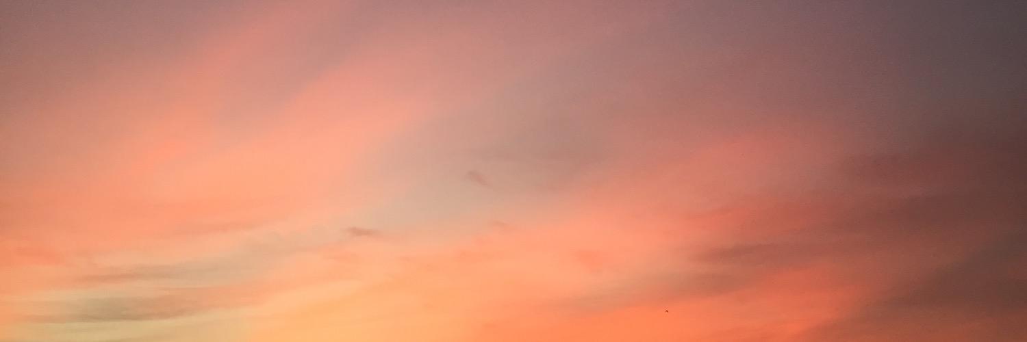 はっさく's banner