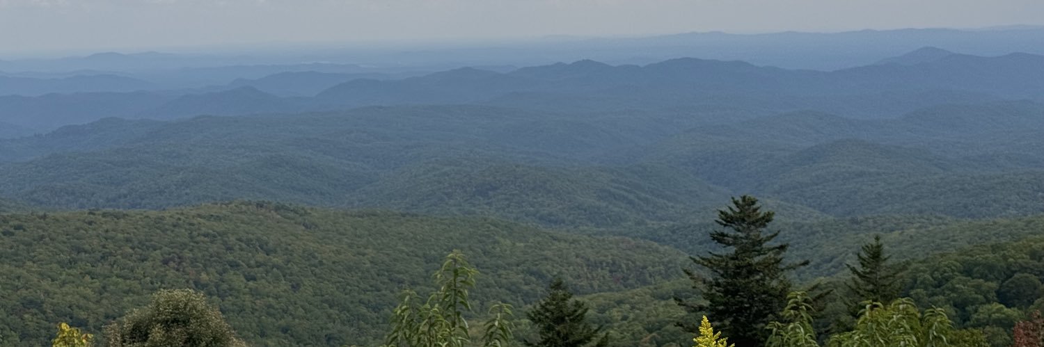 Flamedeal's profile banner image