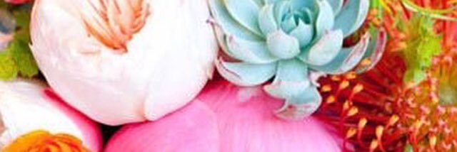 Alyssa Boudny banner