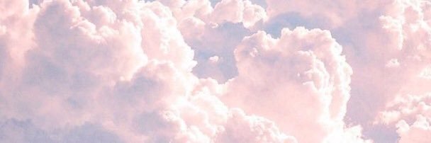 saskiareis's profile banner image