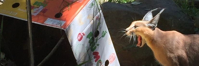 ClaudsRichards's profile banner image