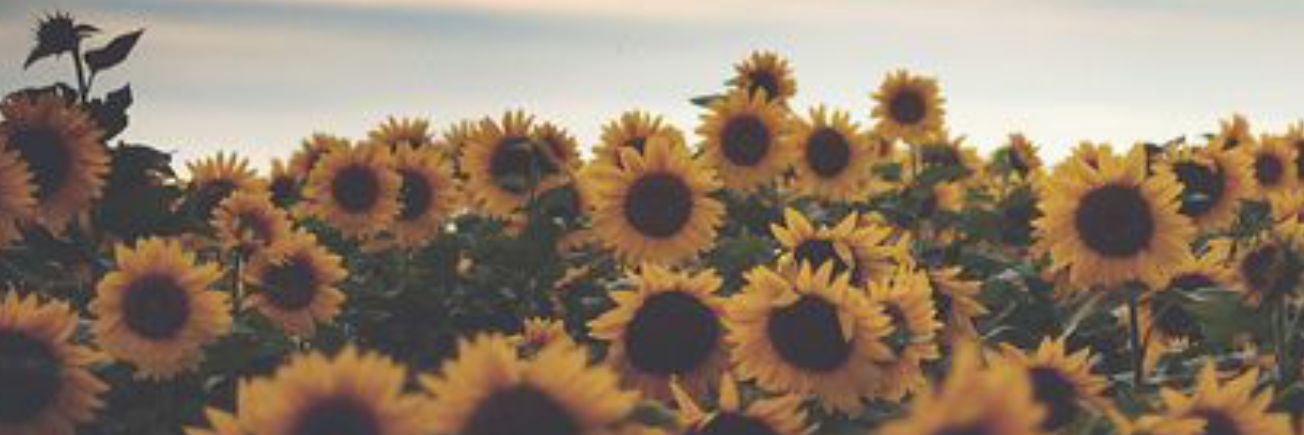 auddddreyj's profile banner image