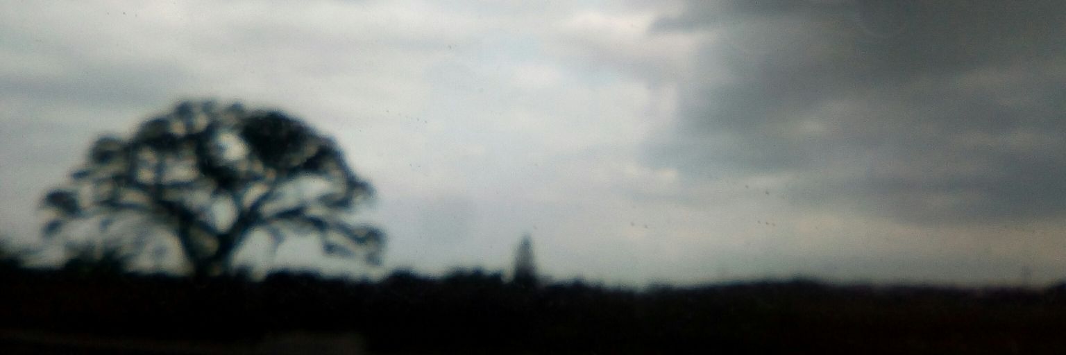 fitrianianti's profile banner image