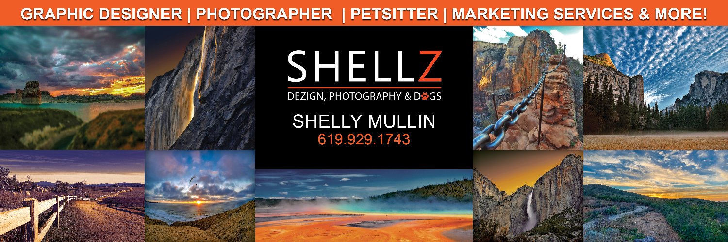 ShellzDezigns's profile banner image