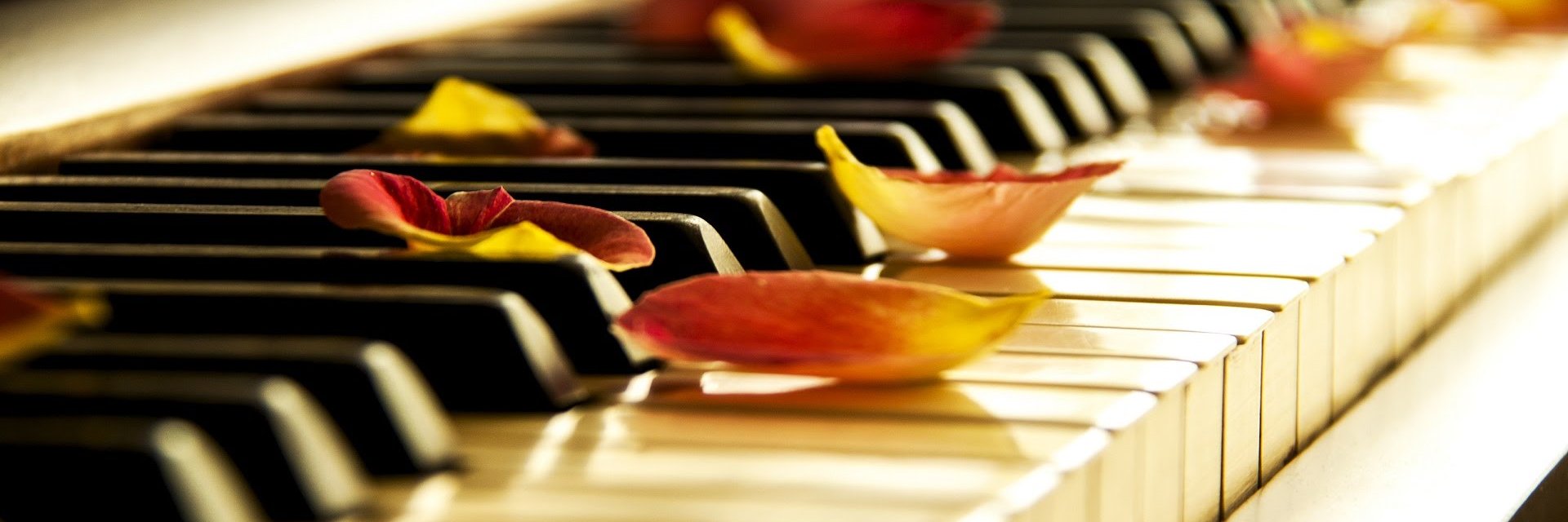 LAJOLLAMUSIC's profile banner image