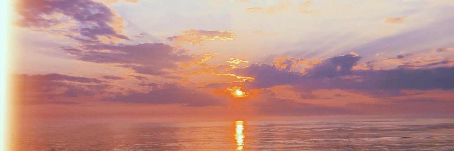 morgan taylor banner