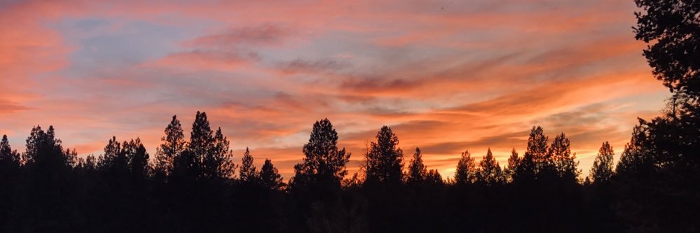 Karen (Yanny) Carroll banner
