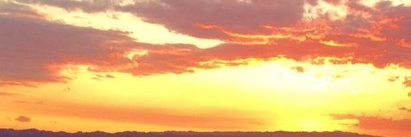 Cute__Harold's profile banner image