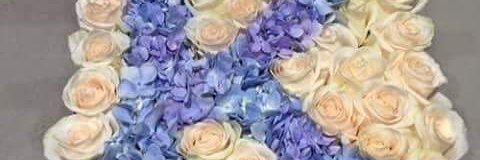ComKami33's profile banner image