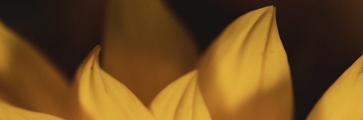 CasiGray's profile banner image