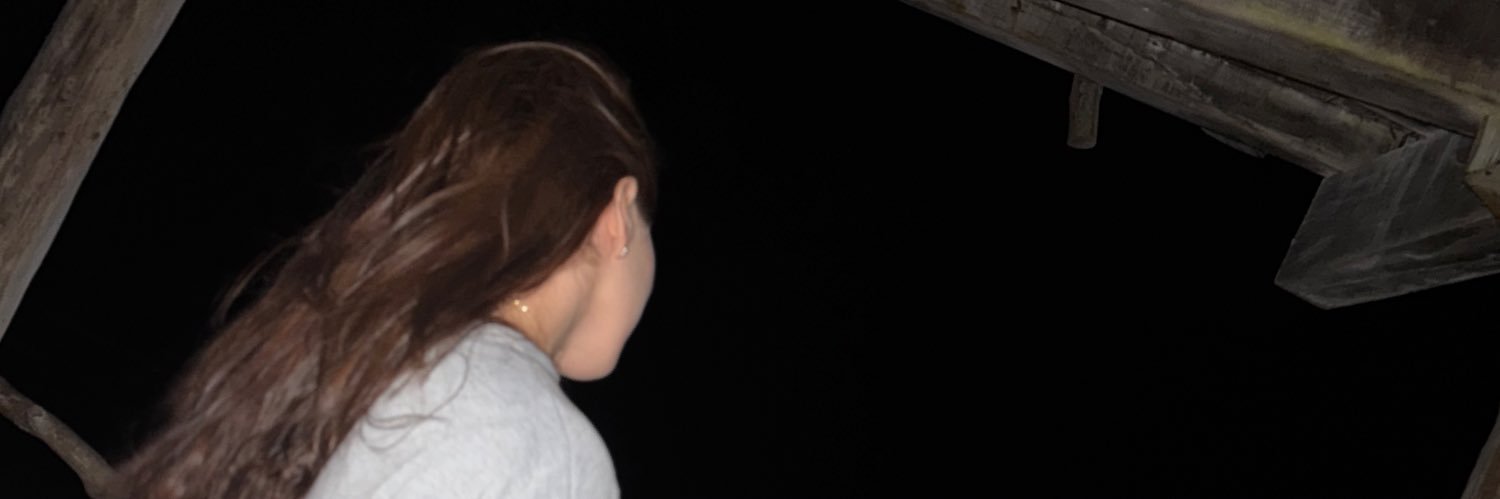 BreidyCalderon's profile banner image