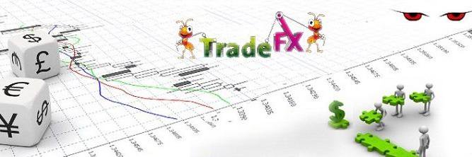 grandFX banner
