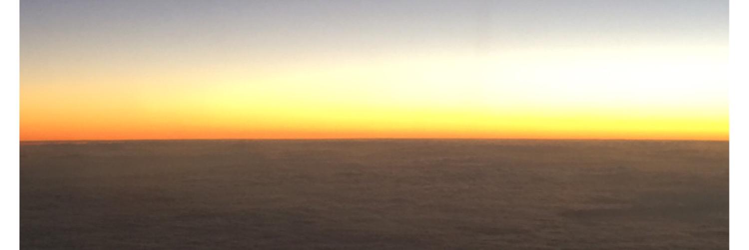 meerkam's profile banner image