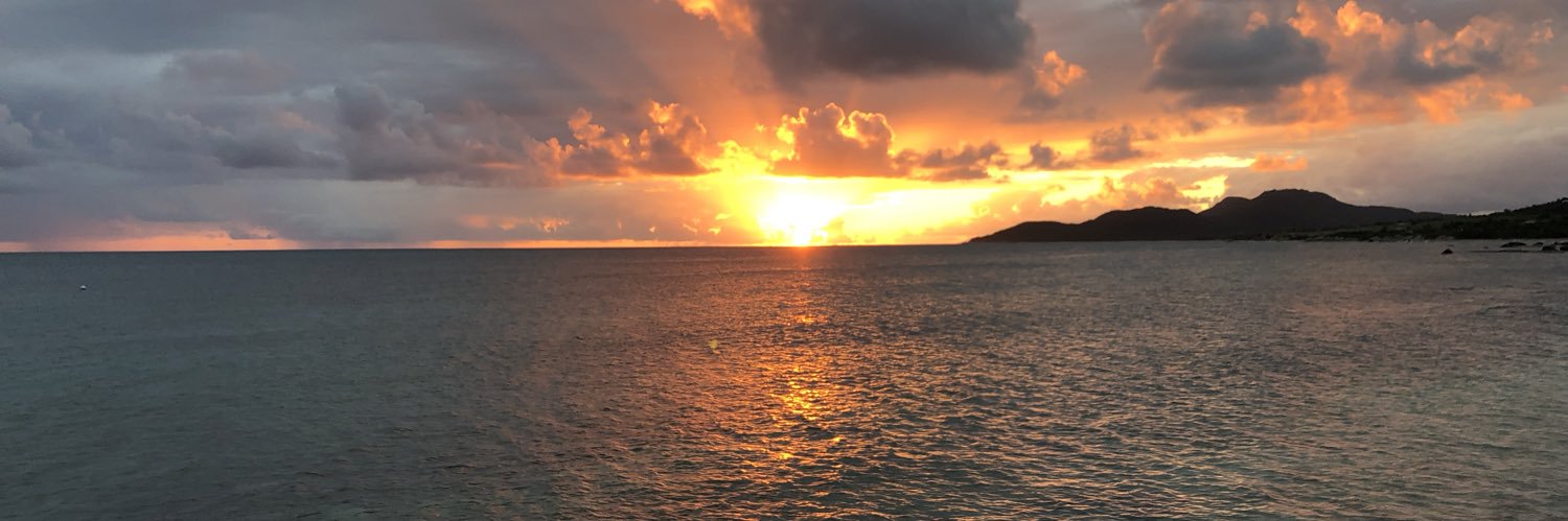 Christian Lavers banner