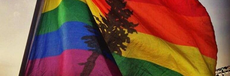OregonProgParty's profile banner image