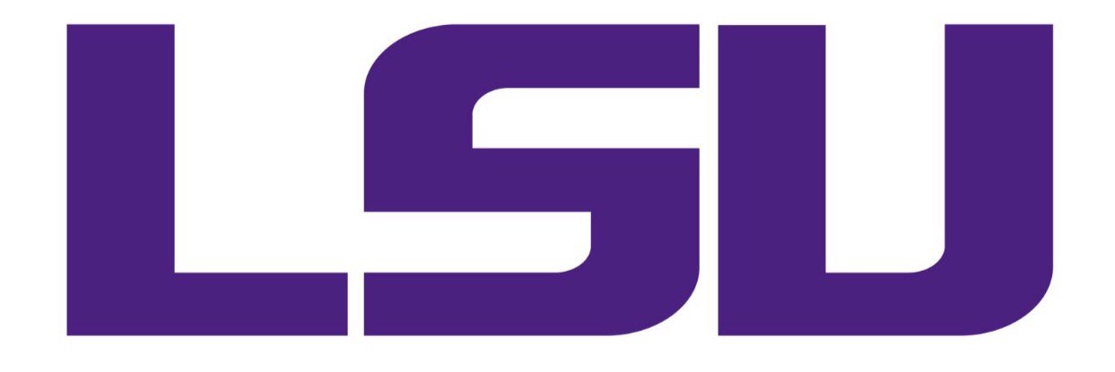 RobLSU's profile banner image
