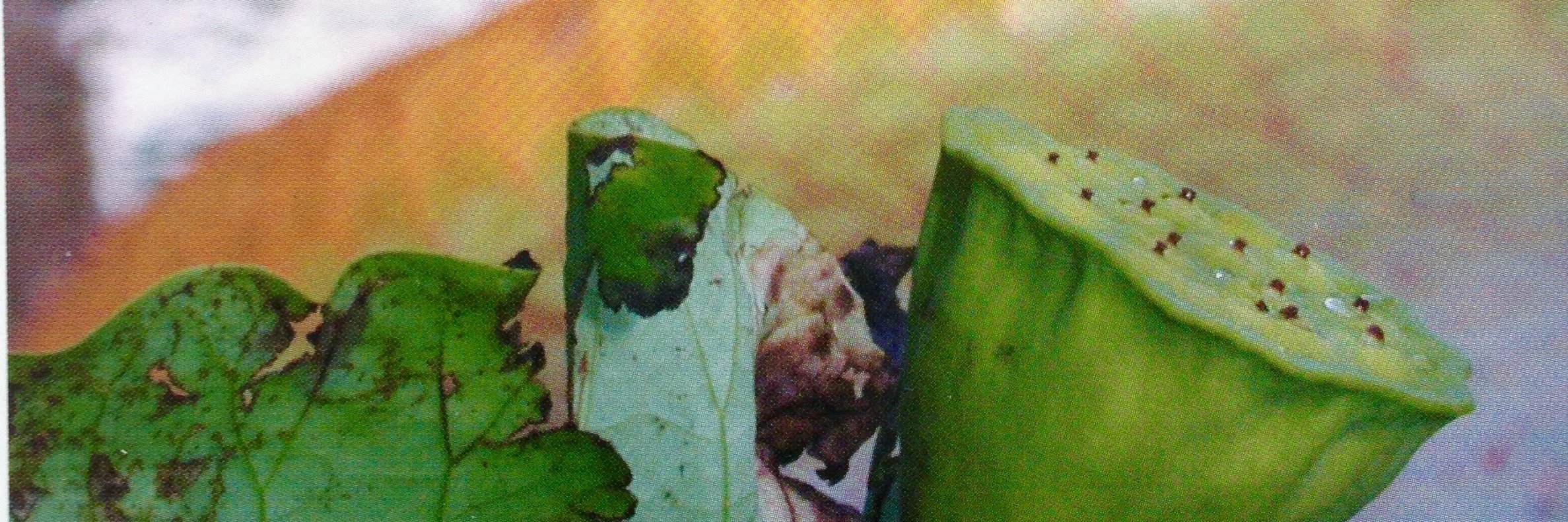 jdejong1975's profile banner image
