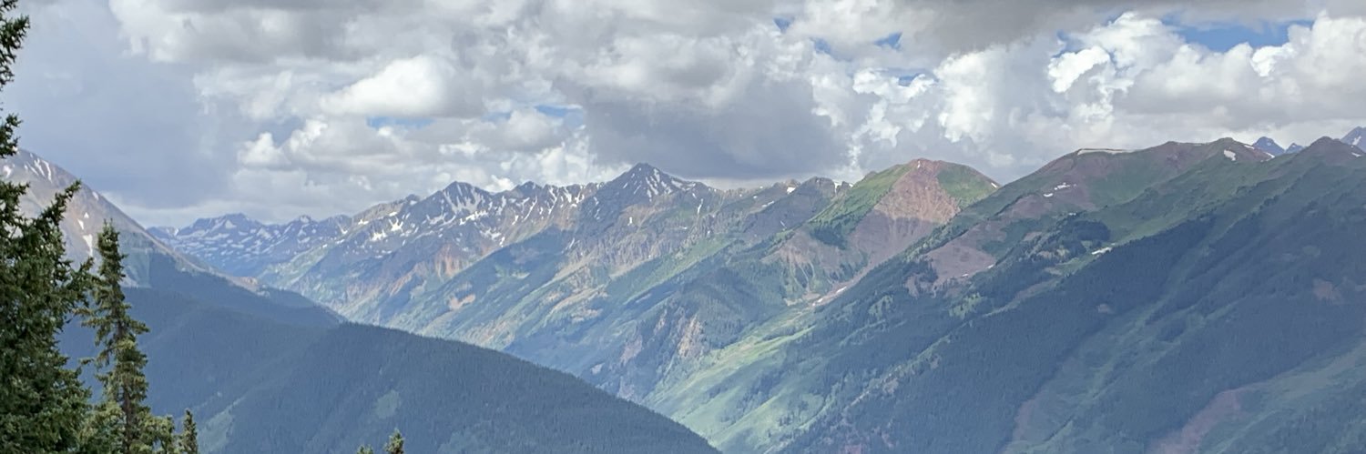 MaryConarroe's profile banner image