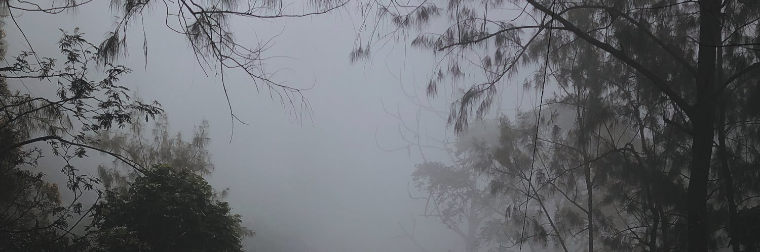 davdavega's profile banner image