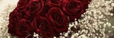 Anoopgan007's profile banner image