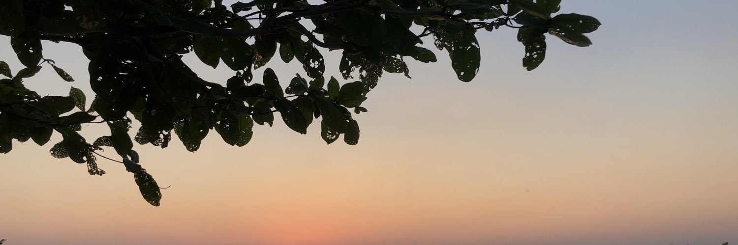 MINZE_MINZE's profile banner image
