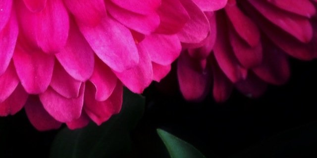 sharifa0000's profile banner image
