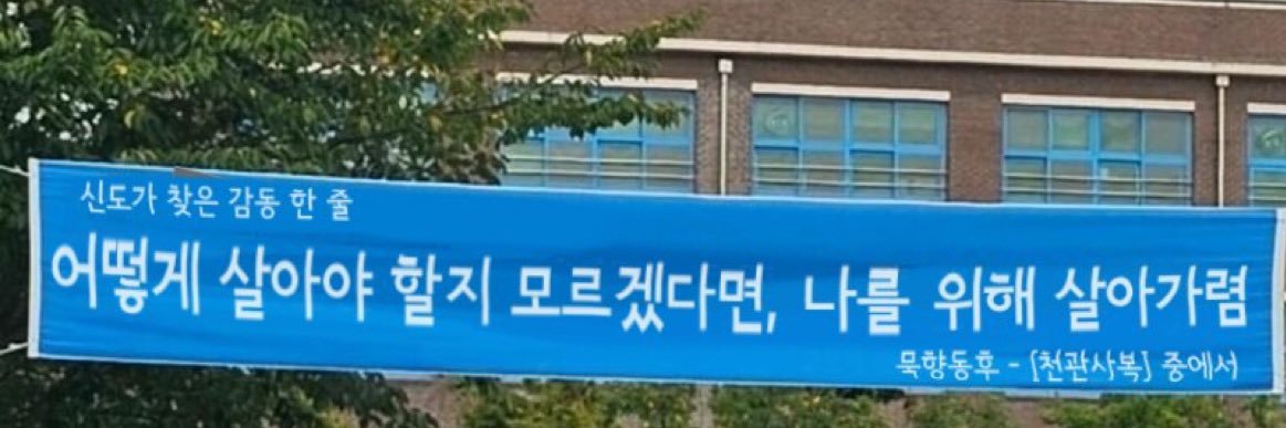 핑키37 🌸🌱🎗 banner