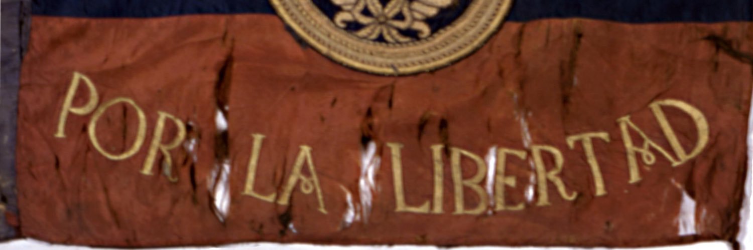 BatmandeChapi's profile banner image