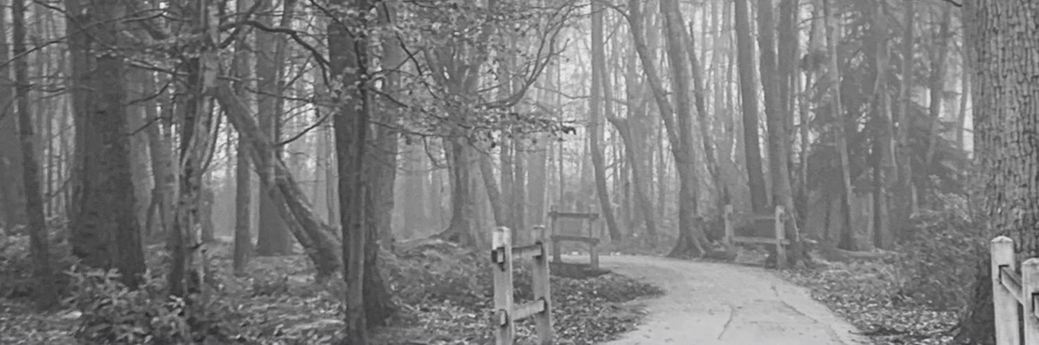 kelvinglen's profile banner image