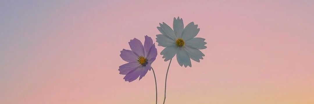 yolann's profile banner image