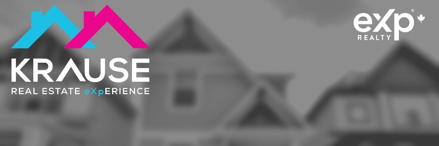 ShelaghKrause's profile banner image