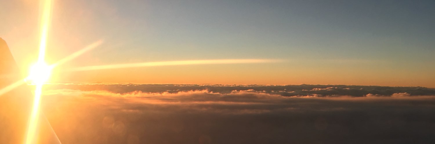 misterbear67's profile banner image